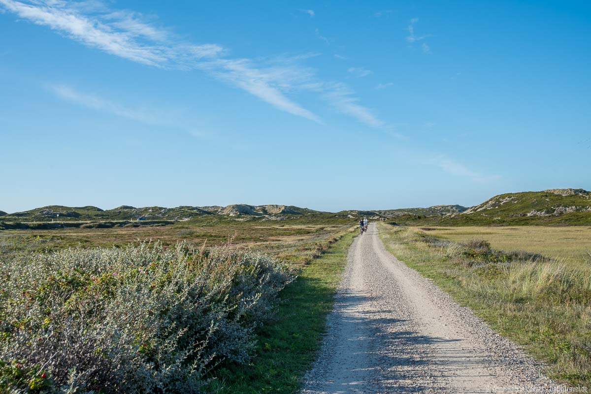 Traumhaft Radeln zwischen Heideflächen und Watt auf Sylt Traumhaft Radeln zwischen Heideflächen und Watt auf Sylt