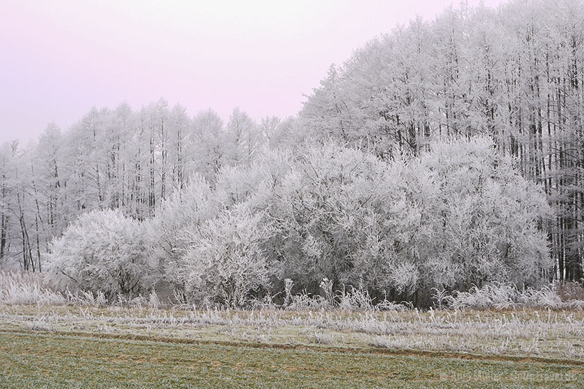 Landschaft mit Raureif