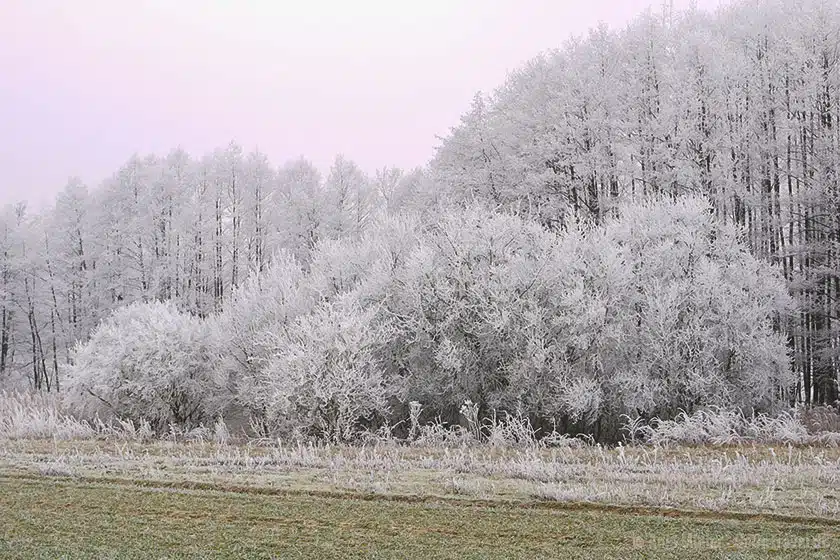 Landschaft mit Raureif Landschaft mit Raureif