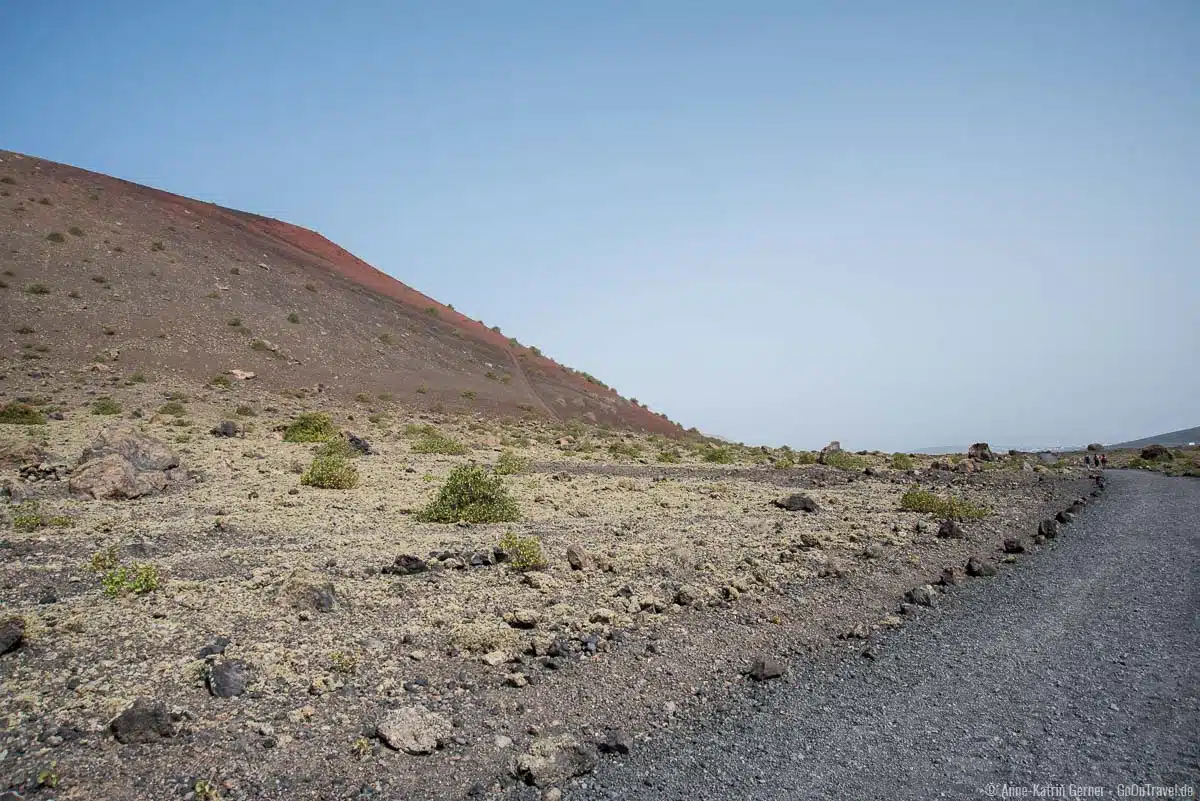 Der Lehrpfad um den Montaña Colorada gehört zum Geopark von Lanzarote