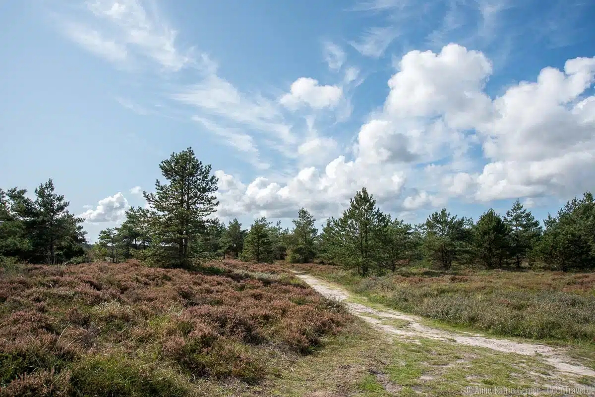 Wanderweg rund um den Höstbjerg im Inselnorden von Römö Wanderweg rund um den Höstbjerg im Inselnorden von Römö