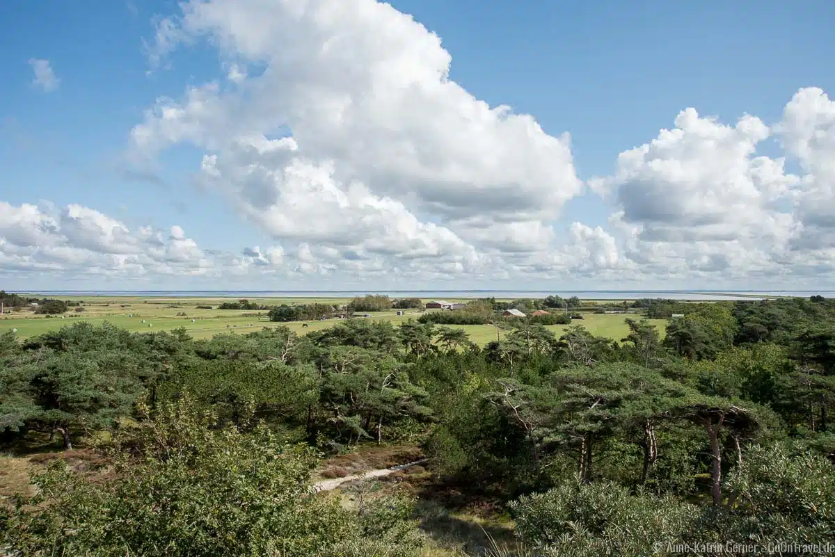 Blick vom Höstbjerg in Richtung Nordsee Blick vom Höstbjerg in Richtung Nordsee