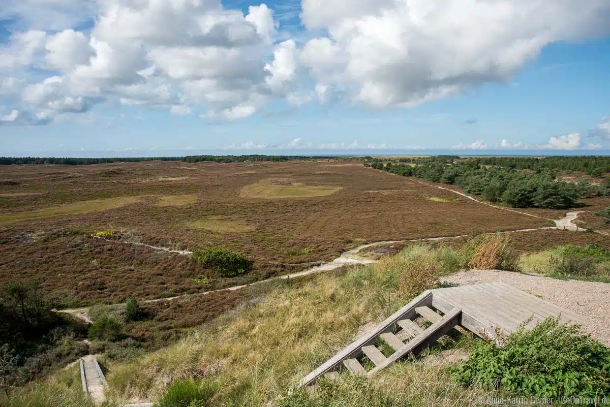 Blick vom Höstbjerg in die Heidelandschaft Blick vom Höstbjerg in die Heidelandschaft