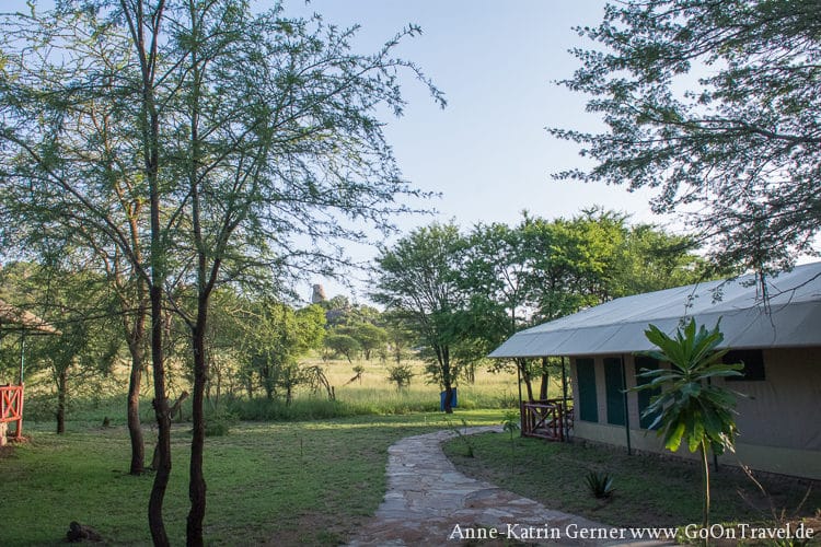 Mbuzi Mawe Serengeti / Tansania