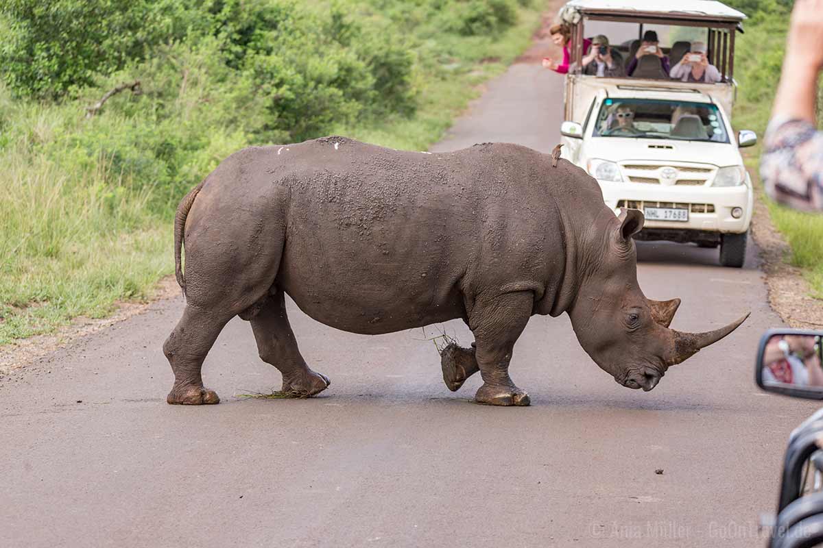 Beste Sicht trotz anderen Fahrzeugen