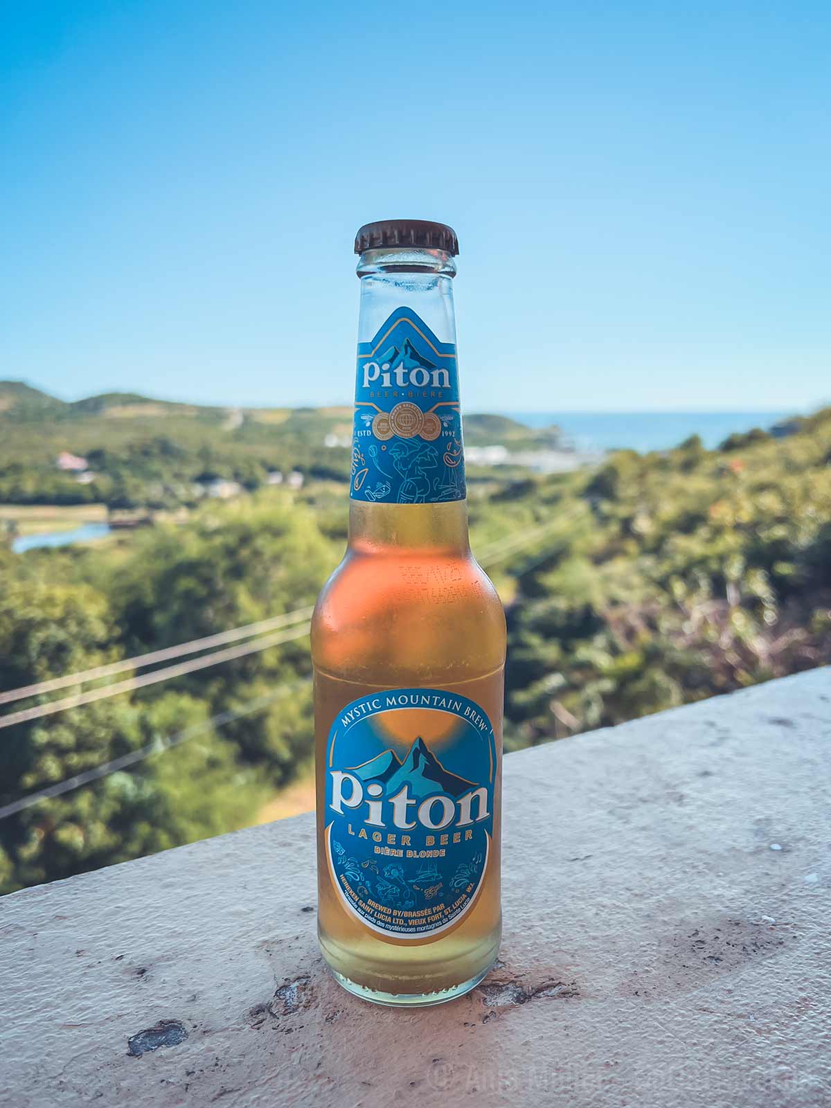 Unbedingt probieren, das Piton Bier auf St. Lucia