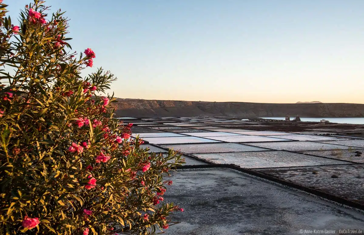 Aussicht über die Salinenfelder von Lanzarote zum Sonnenuntergang Aussicht über die Salinenfelder von Lanzarote zum Sonnenuntergang