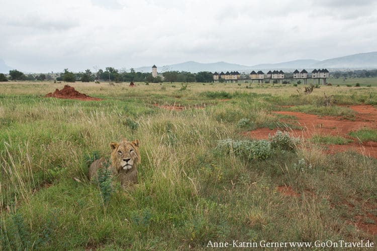 Sarova Salt Lick Lodge Taita Hills