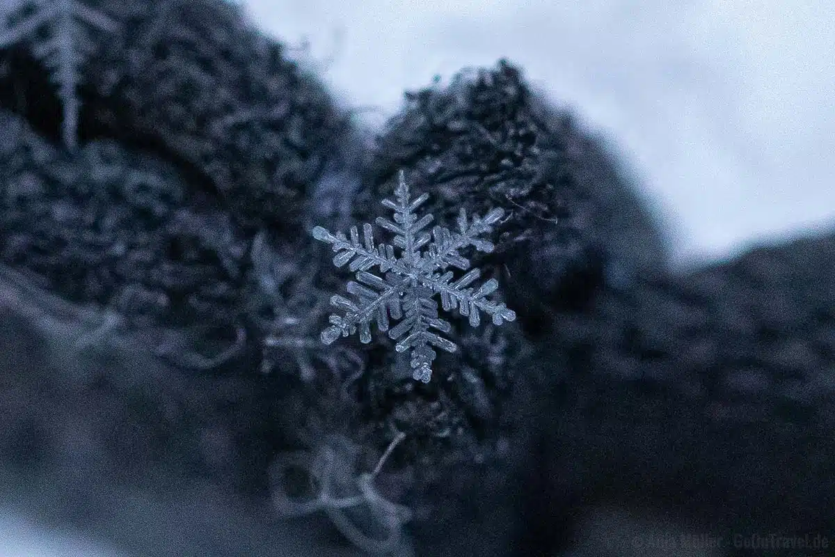 Schneeflocke fotografieren bei ISO 5000 Schneeflocke fotografieren bei ISO 5000