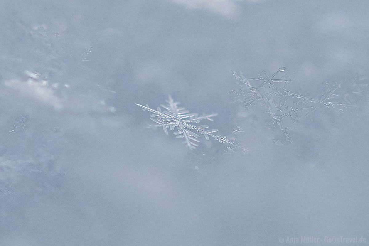 Eiskritall in der Nahansicht