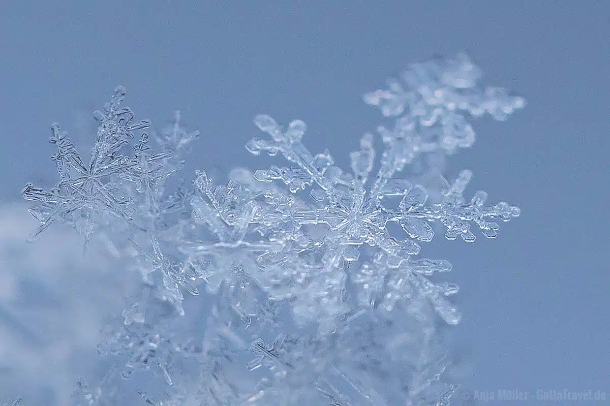 Schneekristall in der Nahansicht Schneekristall in der Nahansicht