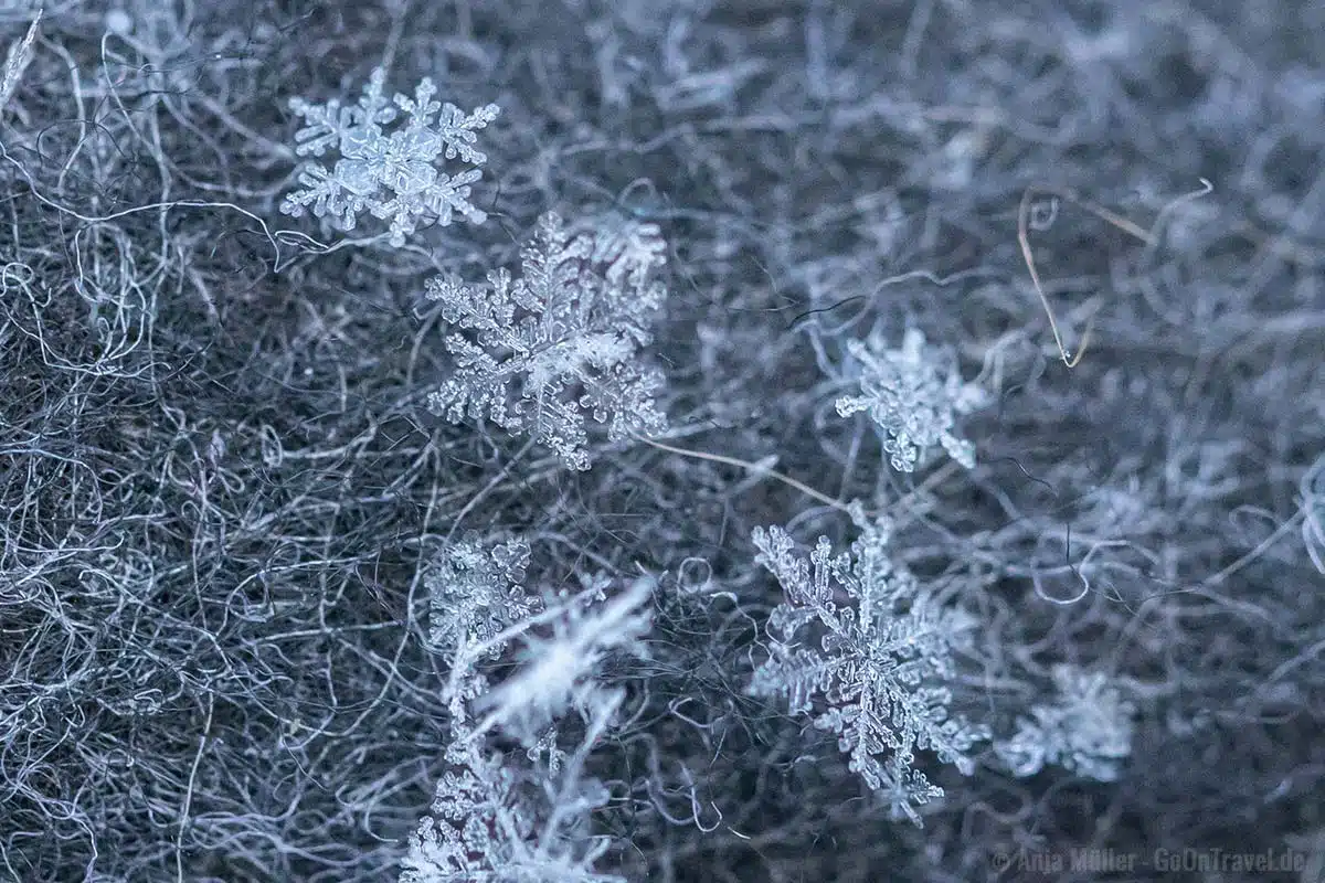 Schneeflocken fotografieren mit Filzuntergrund