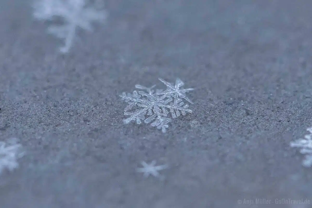 Schneeflocken fotografieren