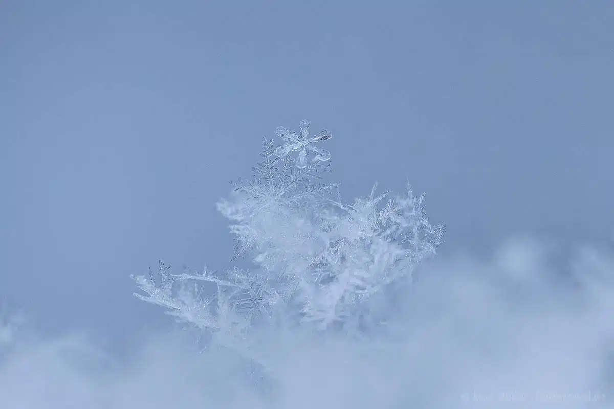 Schneeflocken fotografieren: Jeder Eiskristall ist einzigartig