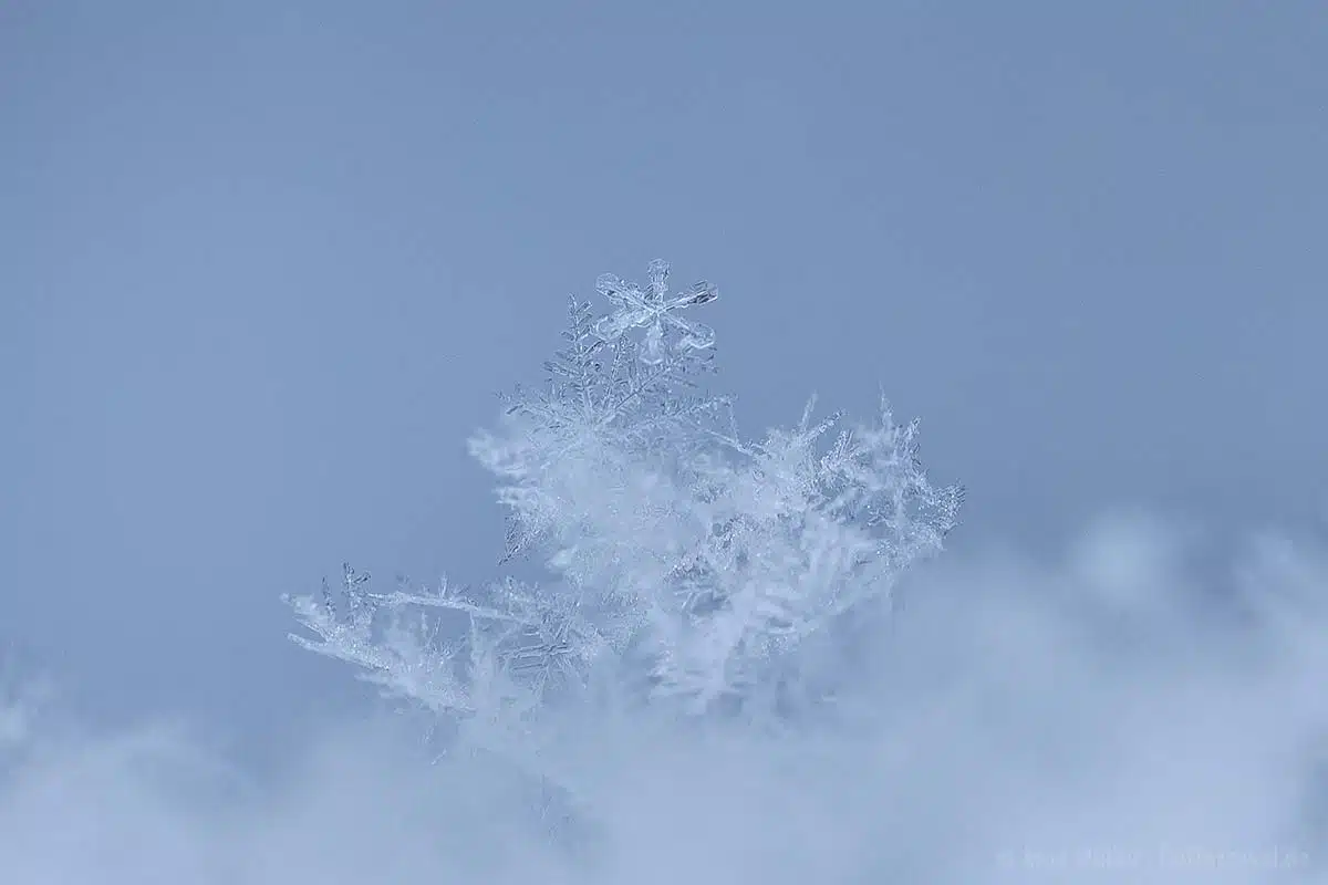 Schneeflocken fotografieren: Jeder Eiskristall ist einzigartig Schneeflocken fotografieren: Jeder Eiskristall ist einzigartig