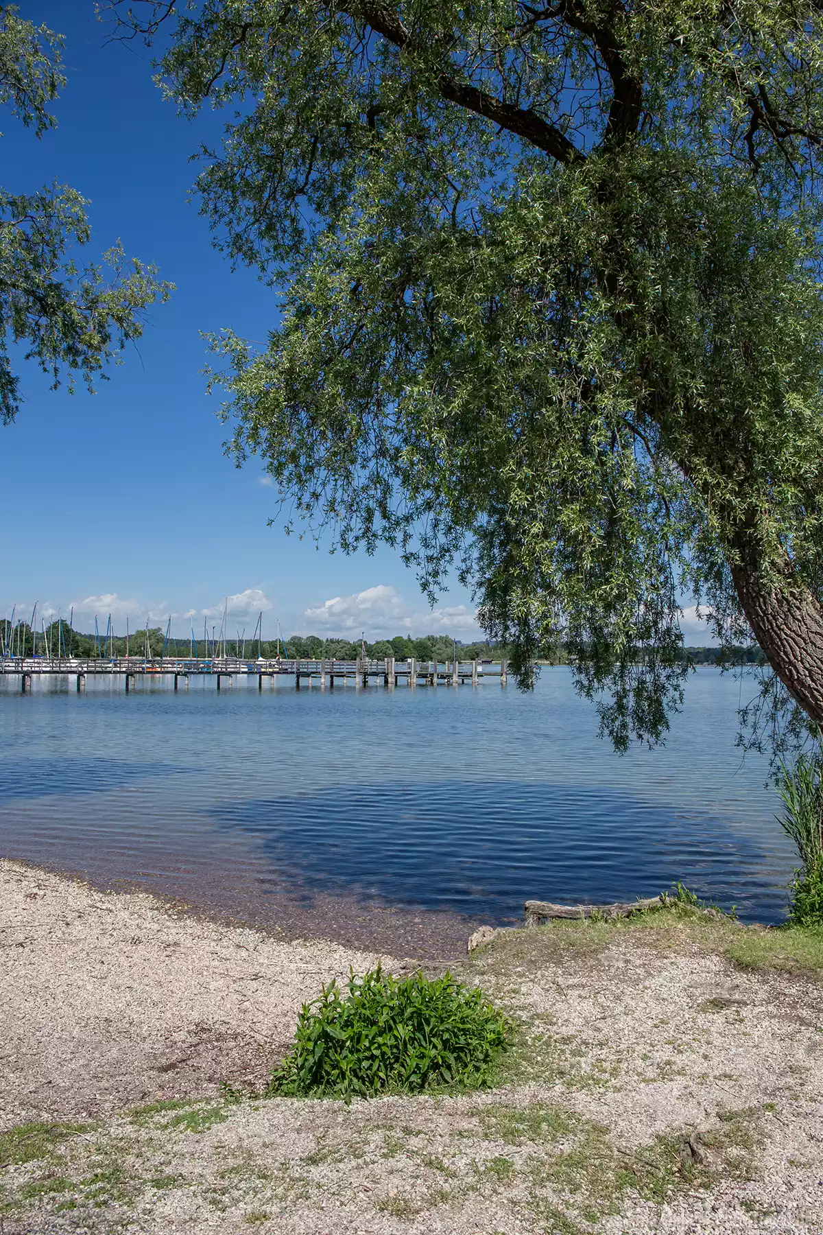 Am Chiemsee gibt es einige Badestellen Am Chiemsee gibt es einige Badestellen
