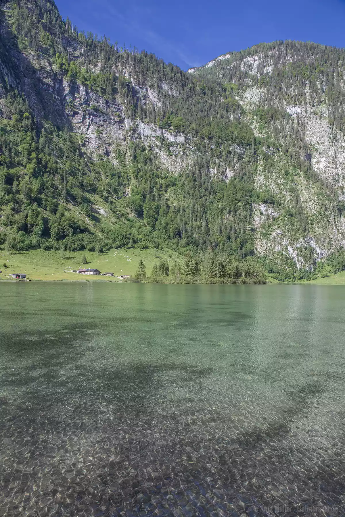 Glasklares Wasser im Königssee Glasklares Wasser im Königssee