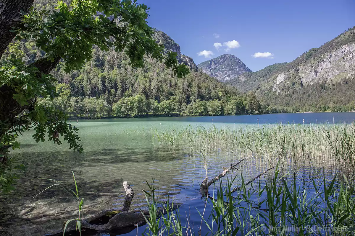 Thumsee ist einer der schönsten Badeseen in Bayern Thumsee ist einer der schönsten Badeseen in Bayern
