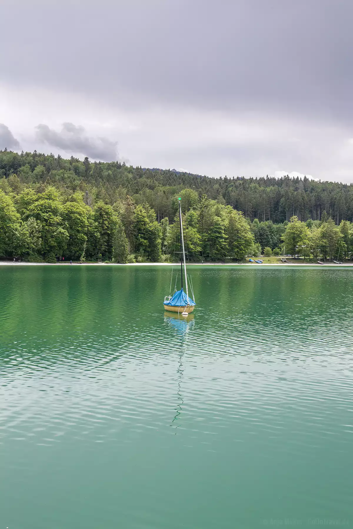 Smaragdgrünes Wasser am Walchensee
