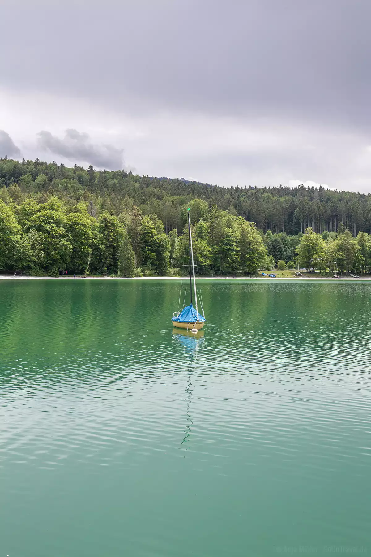 Smaragdgrünes Wasser am Walchensee Smaragdgrünes Wasser am Walchensee