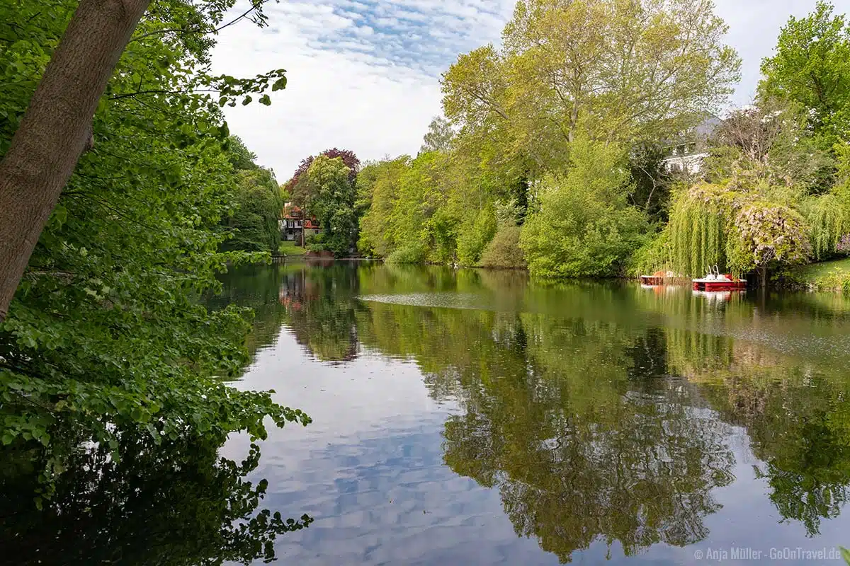 Das Südufer vom Dianasee Das Südufer vom Dianasee