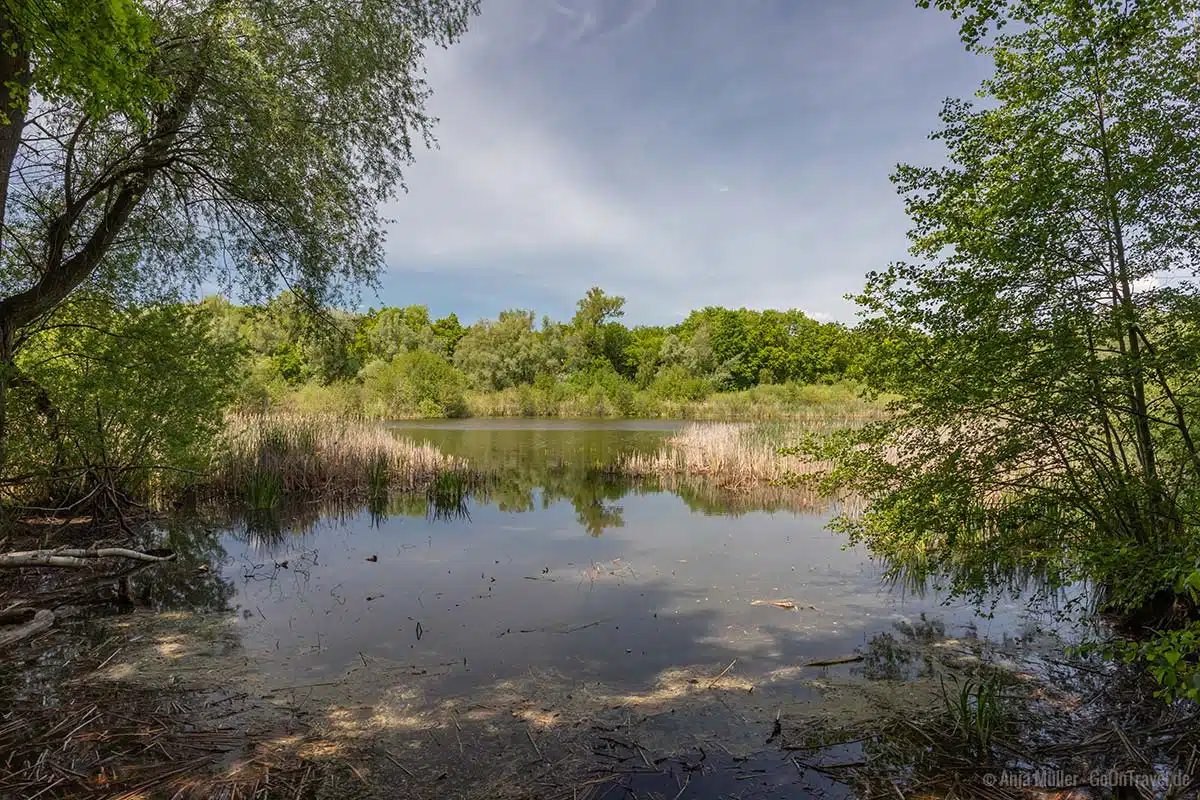 Aussichtspunkt am Faulen See Aussichtspunkt am Faulen See