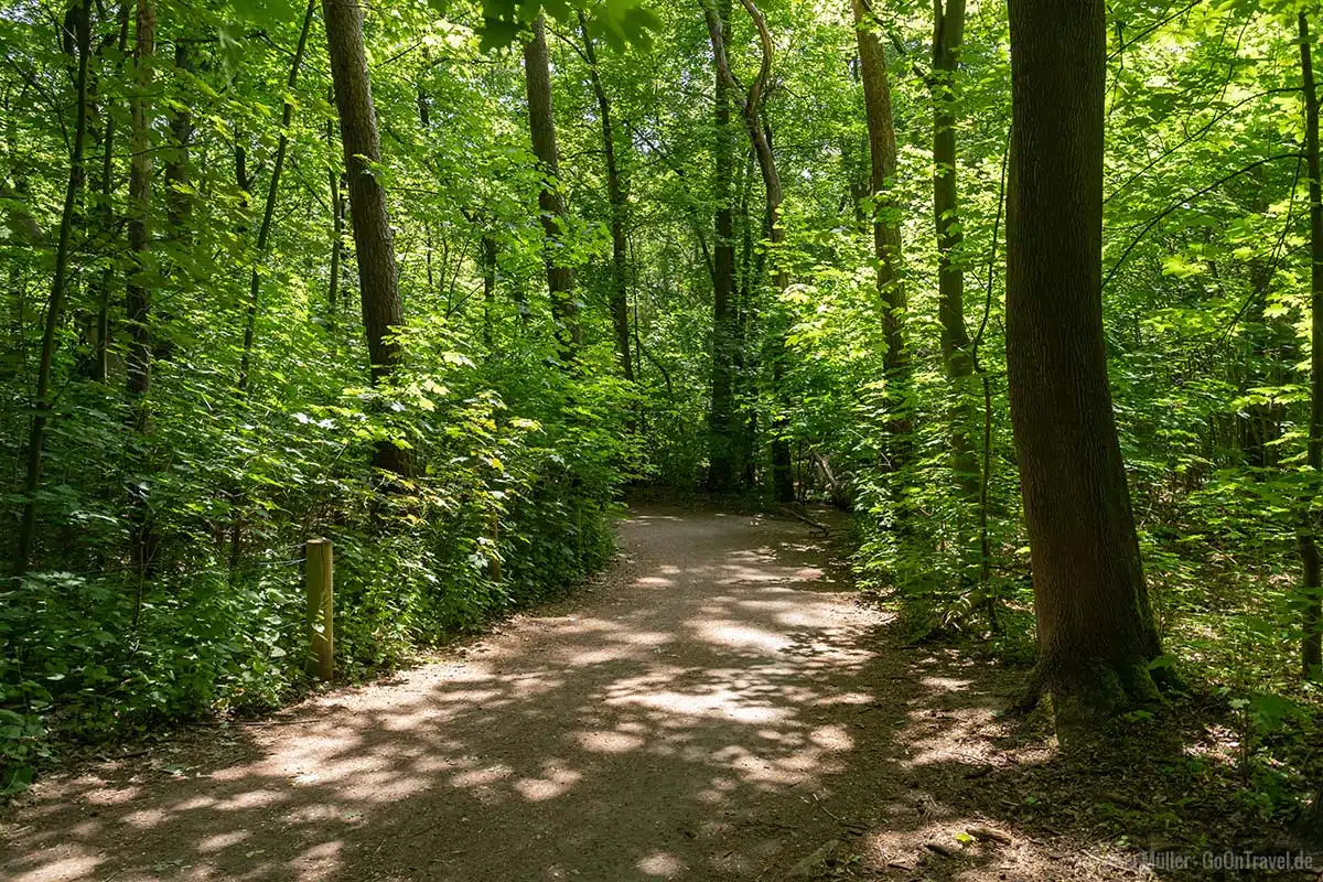 Weg im Naturschutzgebiet Fauler See Weg im Naturschutzgebiet Fauler See