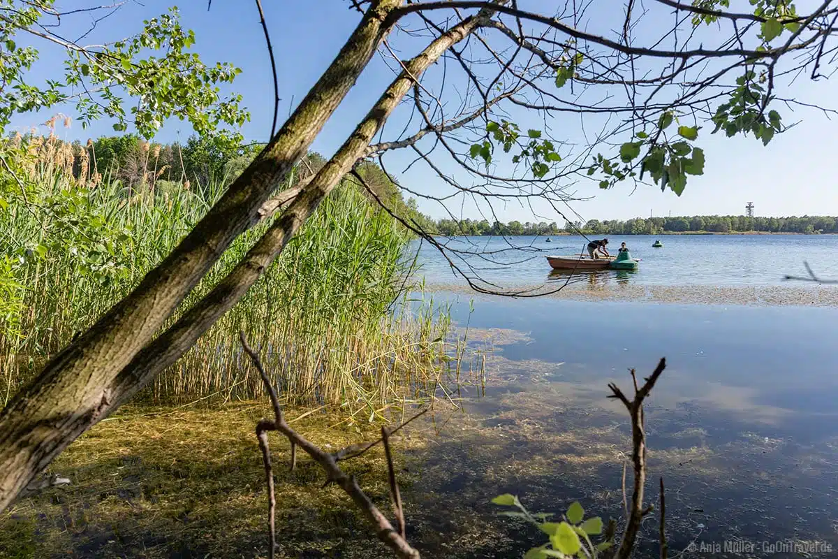 Ufer vom Flughafensee Ufer vom Flughafensee