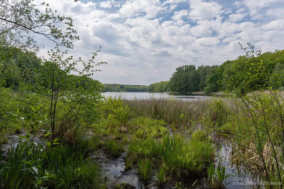 Grunewaldsee am Ostufer Grunewaldsee am Ostufer