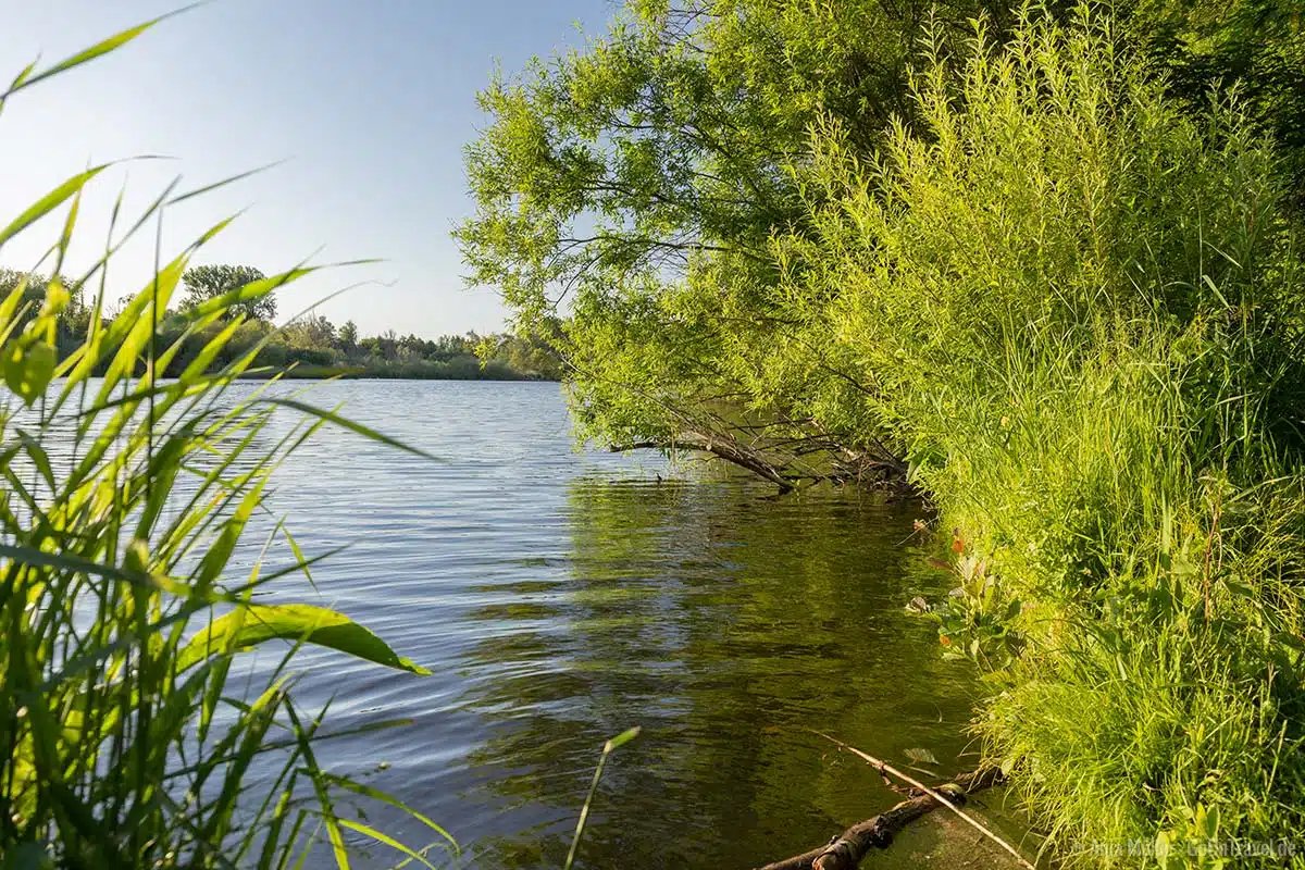 Uferidylle am Hermsdorfer See Uferidylle am Hermsdorfer See