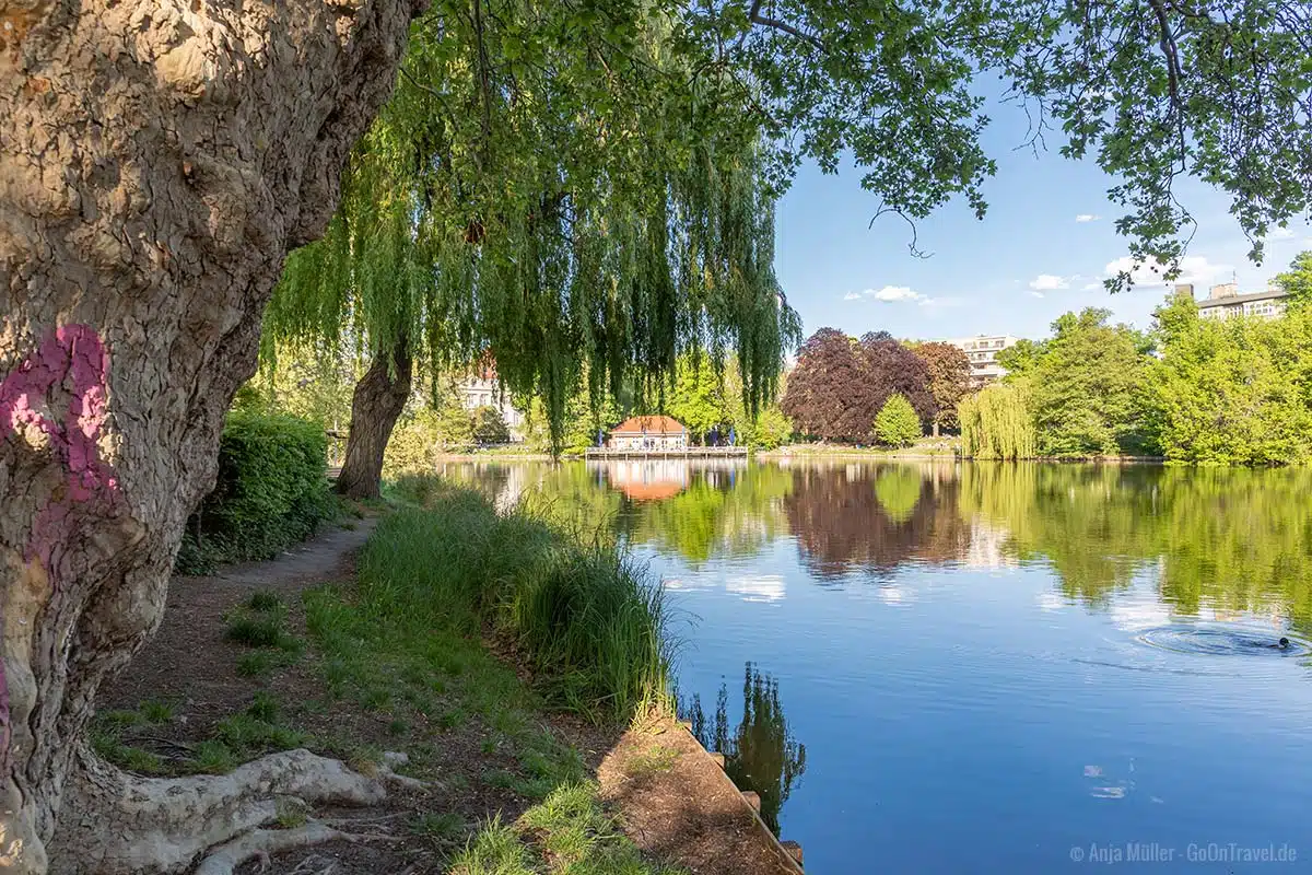 Nordufer vom Lietzensee Nordufer vom Lietzensee