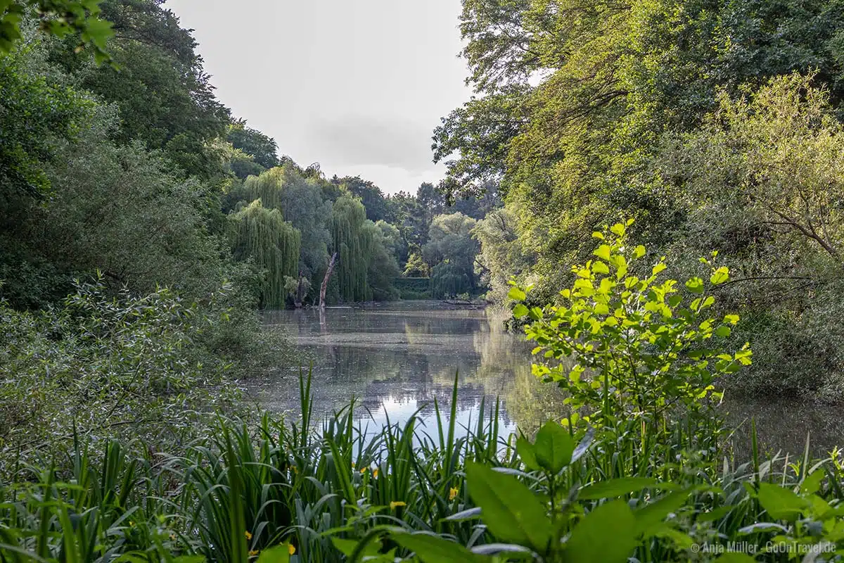 Blick auf den Möwensee vom Südufer aus Blick auf den Möwensee vom Südufer aus