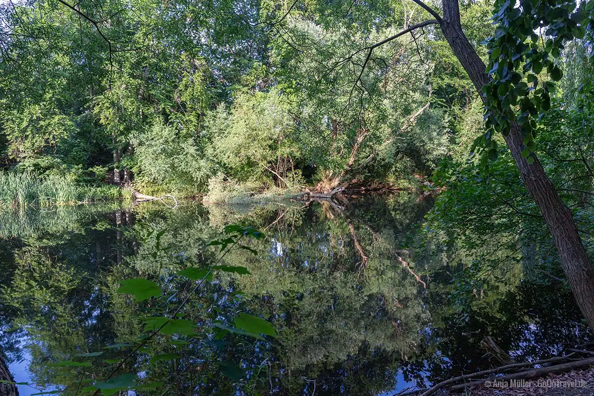 Möwensee im Volkspark Rehberge Möwensee im Volkspark Rehberge