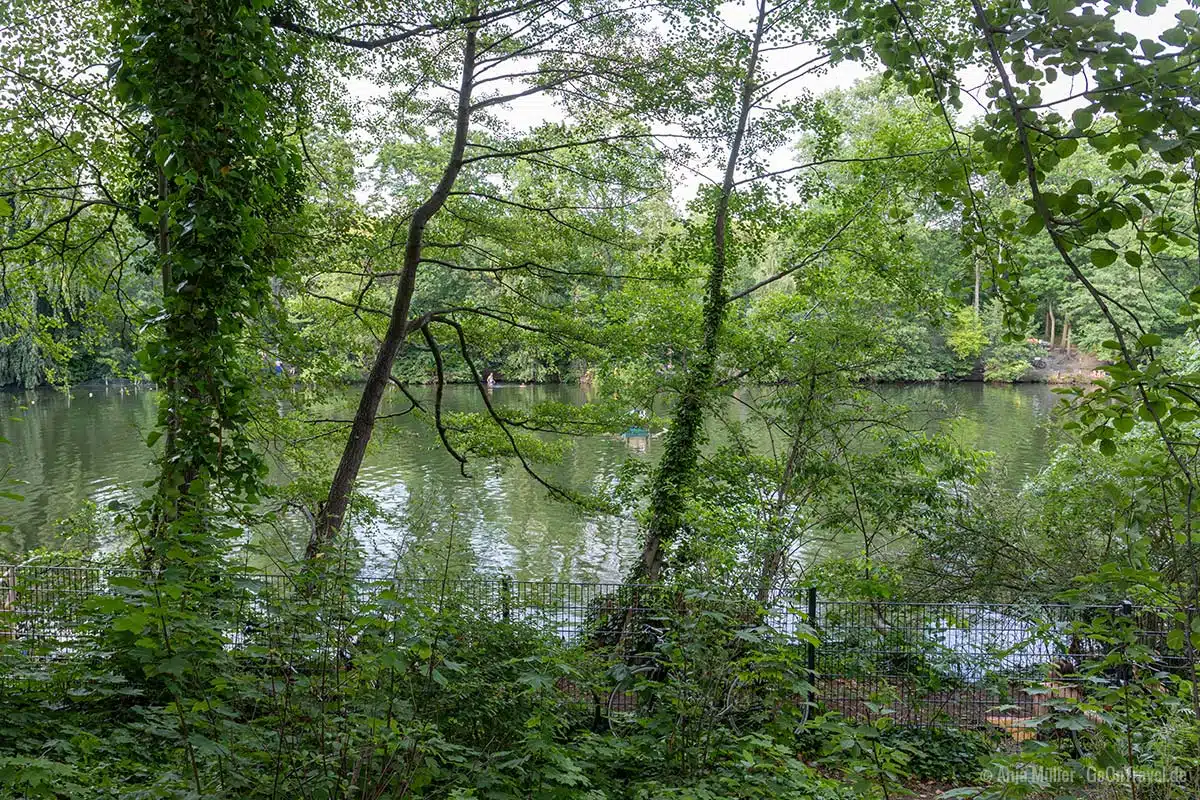 Eingezäuntes Ufer am Plötzensee Eingezäuntes Ufer am Plötzensee