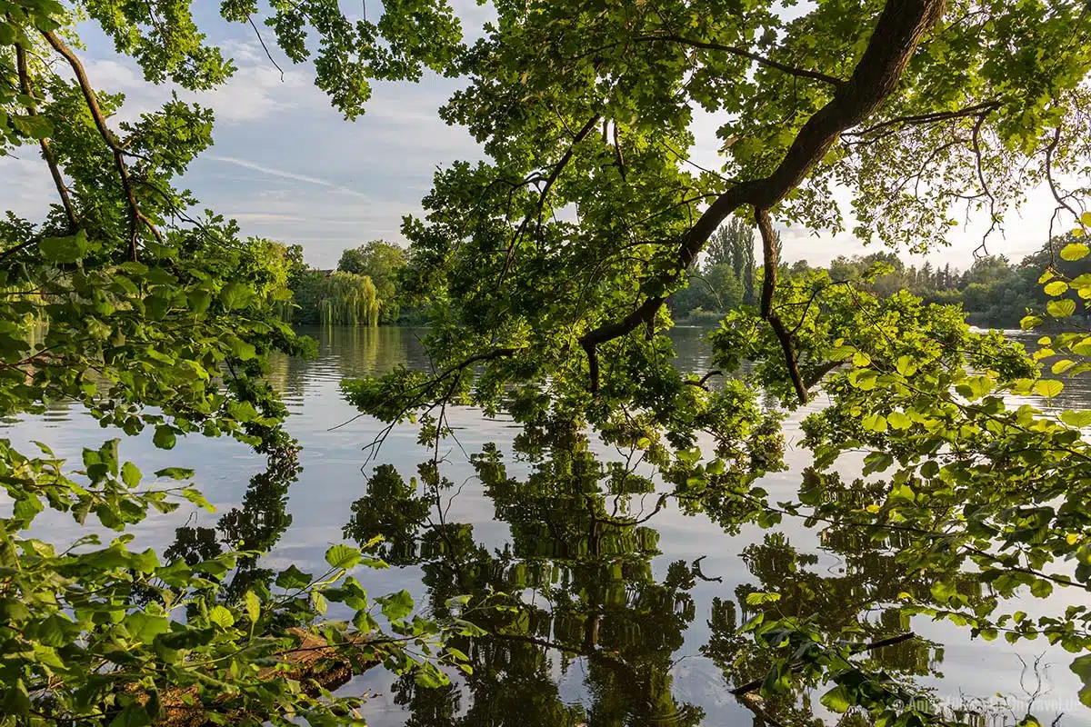 Ufer vom Schäfersee Ufer vom Schäfersee