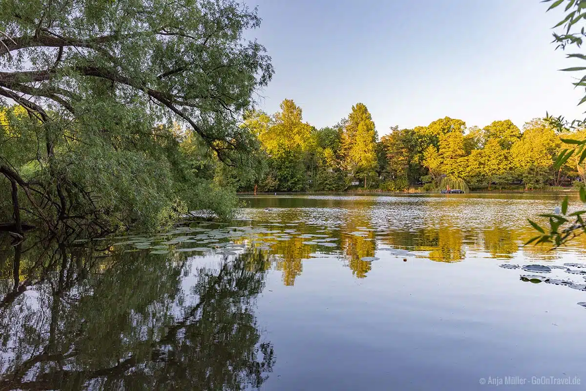 Blick auf den Waldsee Blick auf den Waldsee