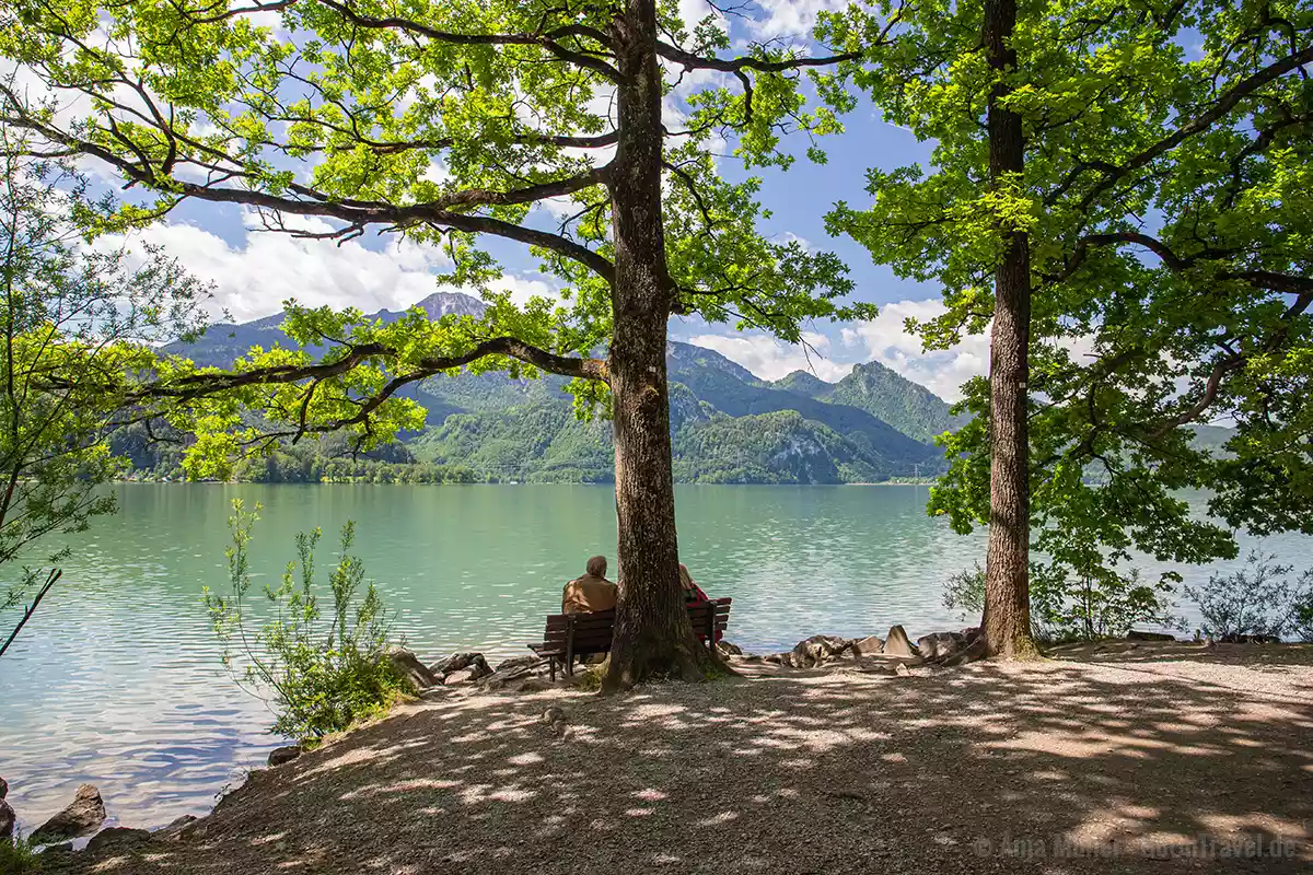 Blick auf den Kochelsee Blick auf den Kochelsee