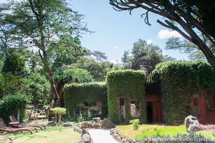 Hauptgebäude Serena Amboseli Lodge