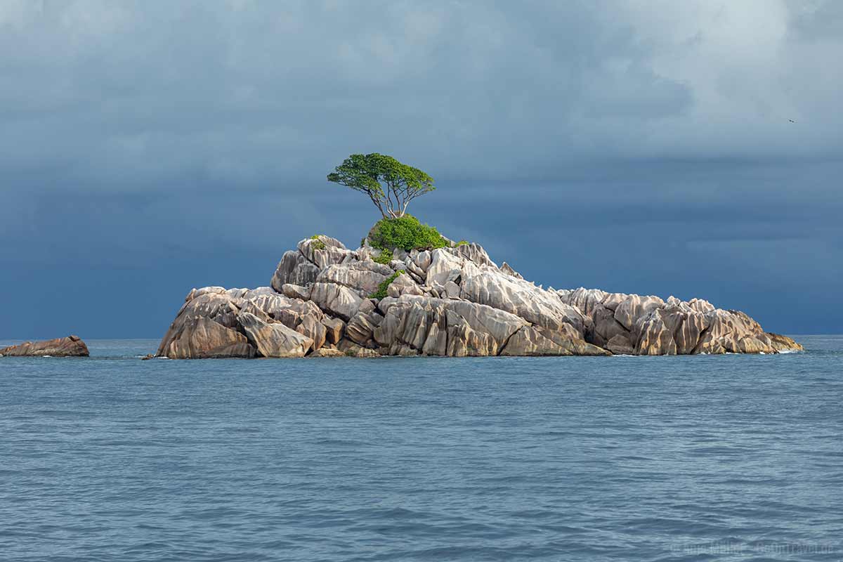 Ave Maria – Die Insel mit nur einem Baum