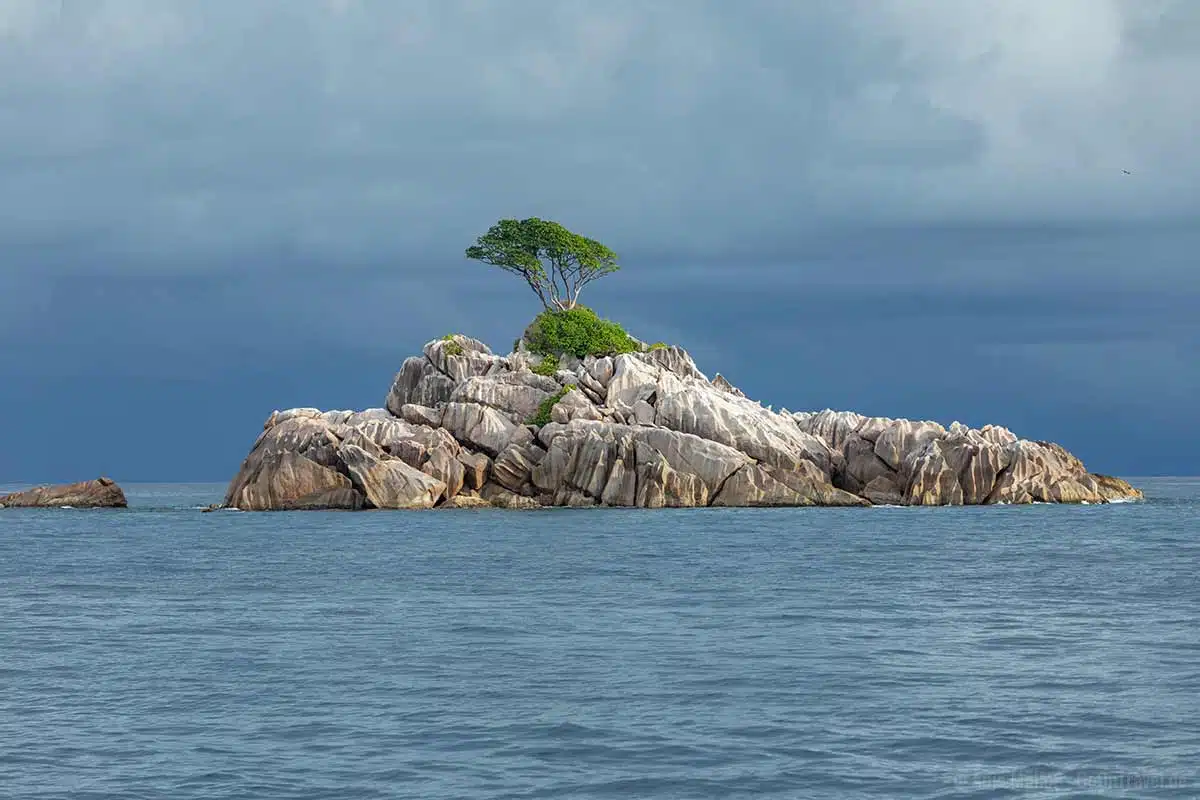 Ave Maria – Die Insel mit nur einem Baum Ave Maria – Die Insel mit nur einem Baum