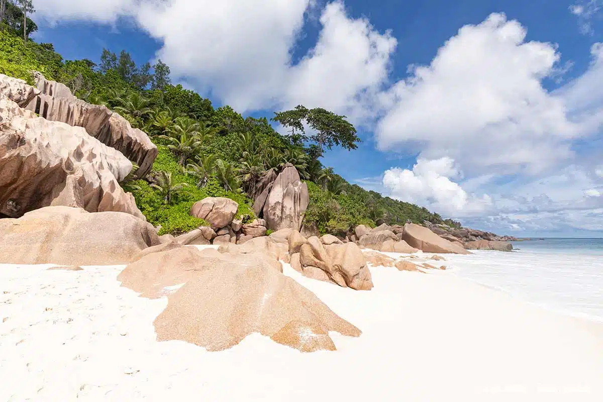 Petite Anse Beach im Sonnenschein Petite Anse Beach im Sonnenschein