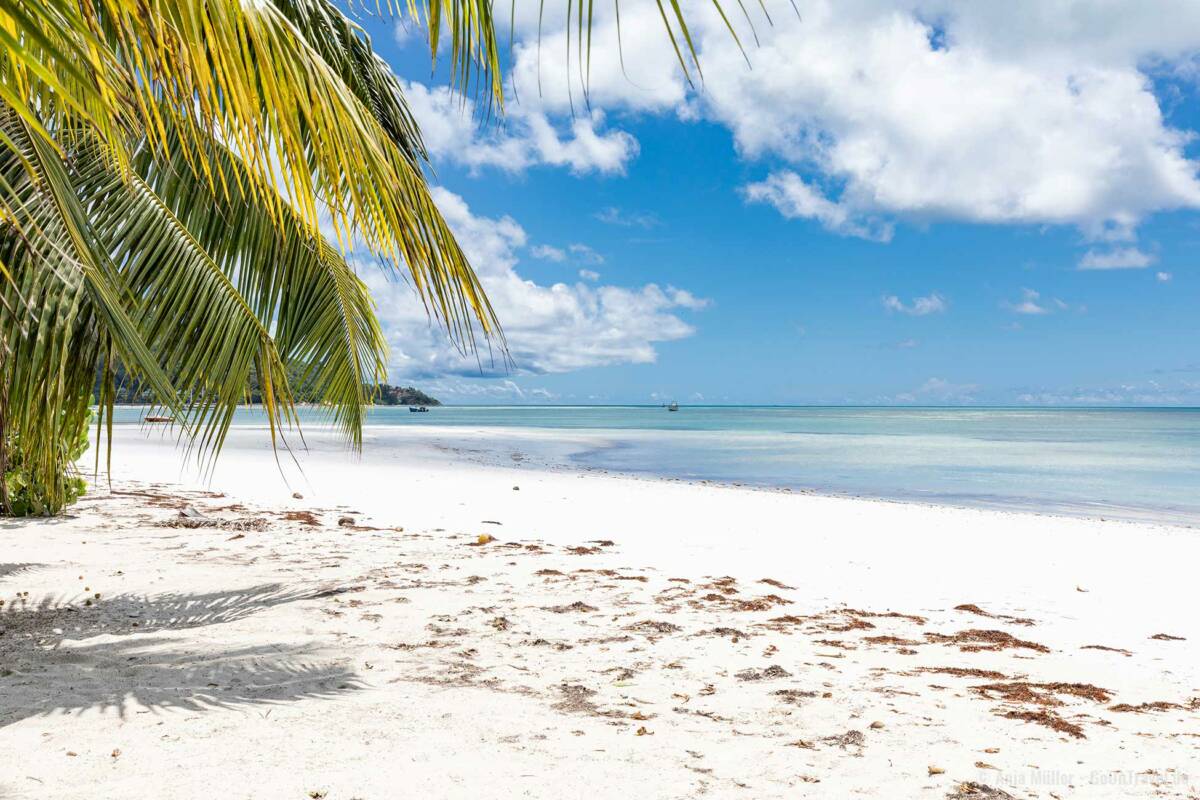 Seychellen Praslin Grand Anse