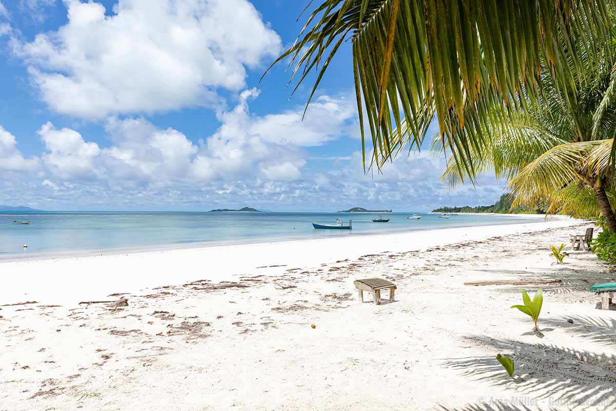 Der Grand Anse ist ein echter Traumstrand auf Praslin