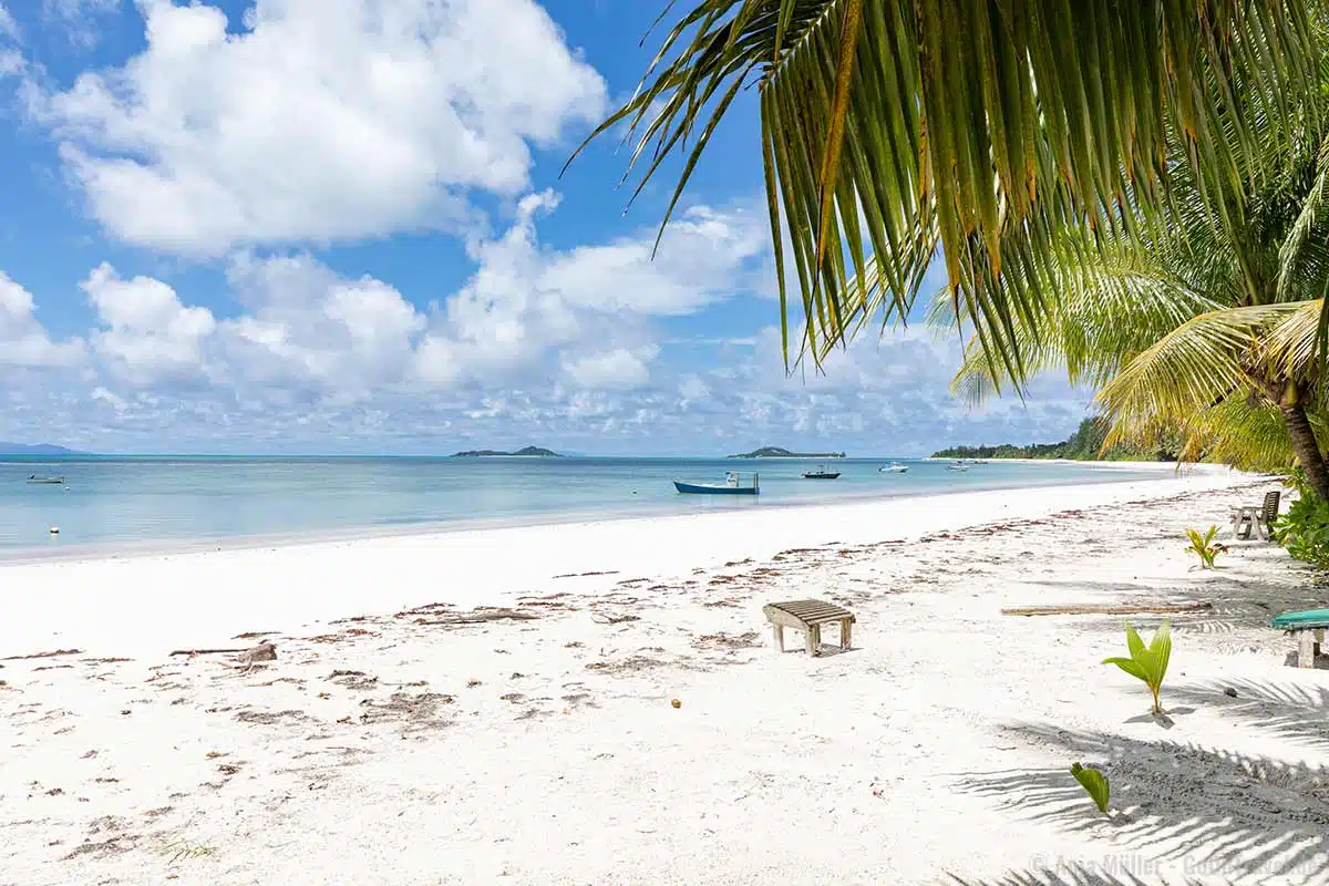Der Grand Anse ist ein echter Traumstrand auf Praslin Der Grand Anse ist ein echter Traumstrand auf Praslin