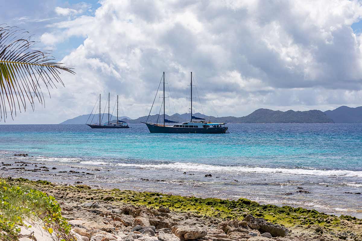 S.Y. Sea Star (links) und S.Y. Sea Bird (rechts)