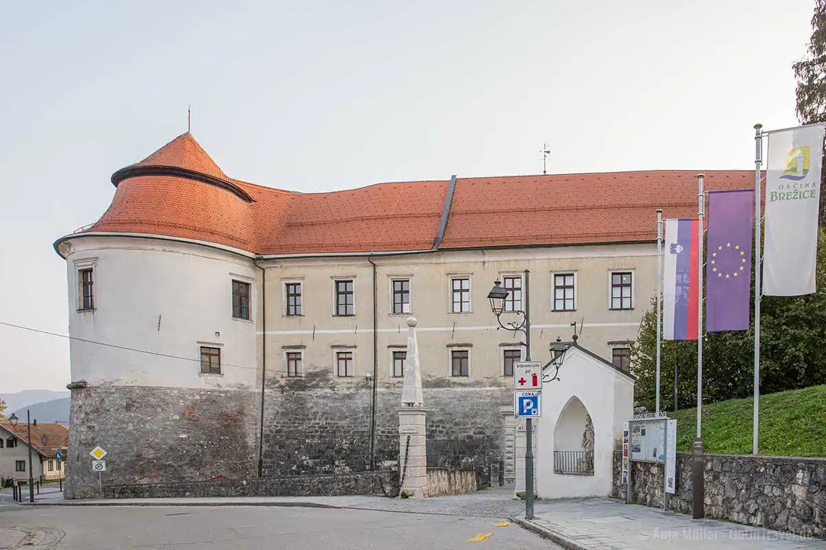 Brežice Castle Brežice Castle