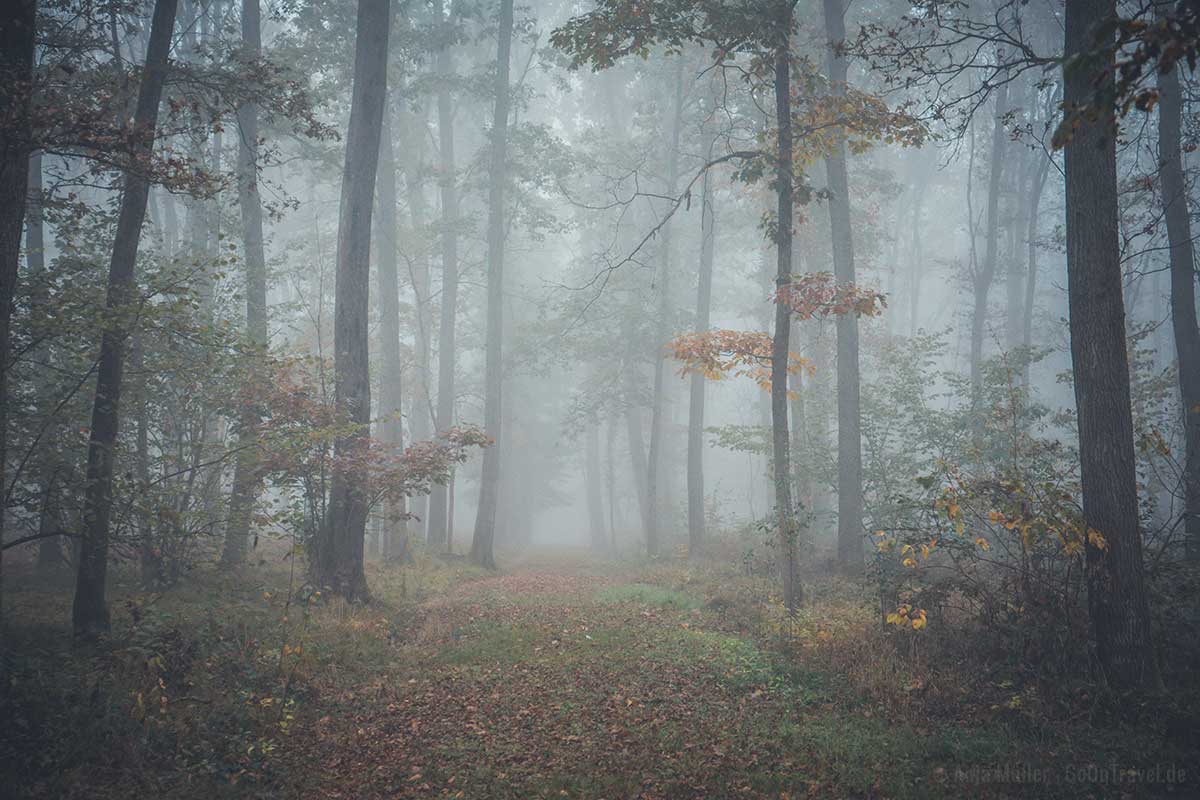 Morgennebel in Slownien Morgennebel in Slownien