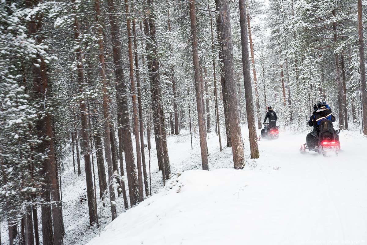 Mit dem Snowmobile durch den verschneiten Winterwald Mit dem Snowmobile durch den verschneiten Winterwald