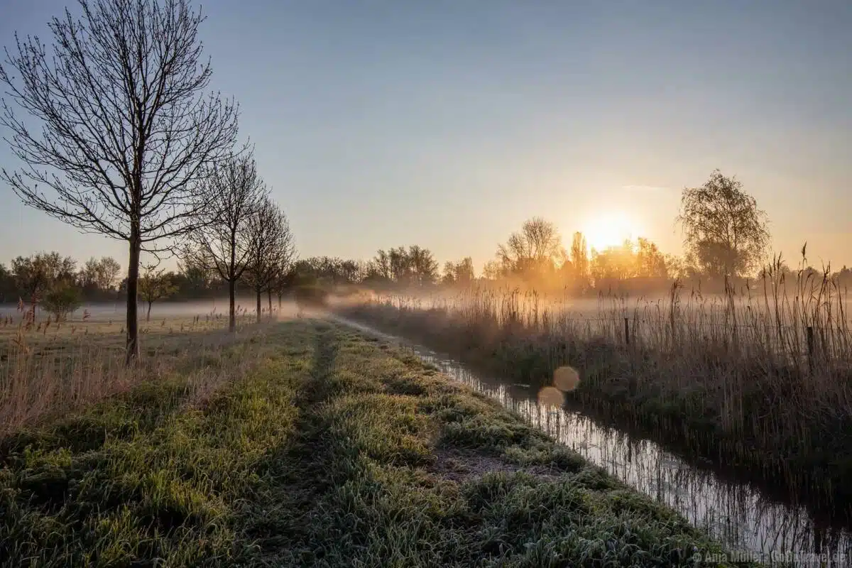 Sonnenaufgang mit Nebel Berlin