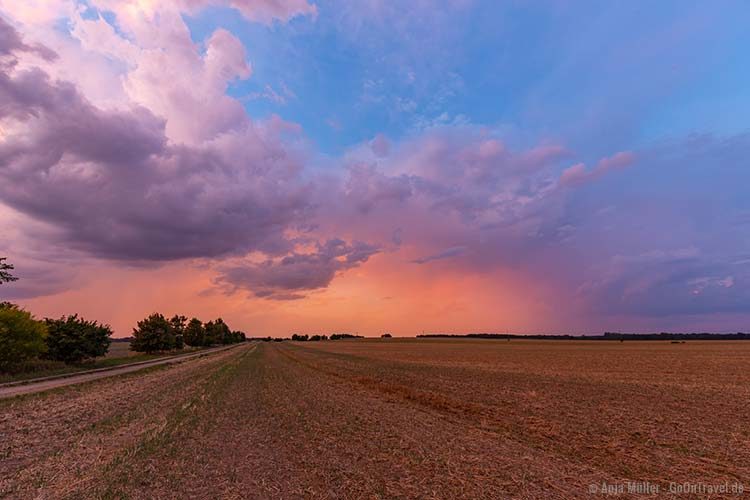 Sonnenuntergang auf dem Feld Sonnenuntergang auf dem Feld